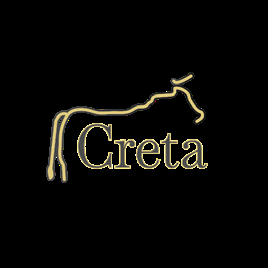 Logotipo de socio ANETIF 8